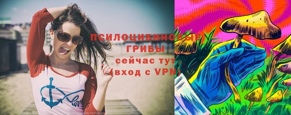 спиды Арсеньев