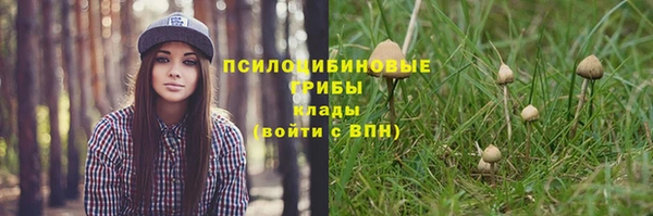 спиды Арсеньев